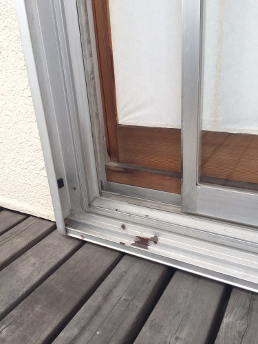 施工ギャラリー